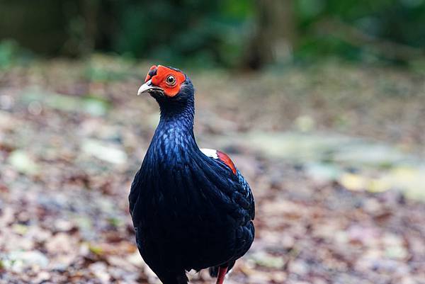 273372439_10209517281286320_3508690908777199661_n