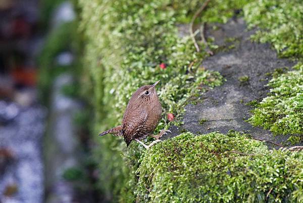 273391322_10209517278206243_8200726670064107950_n