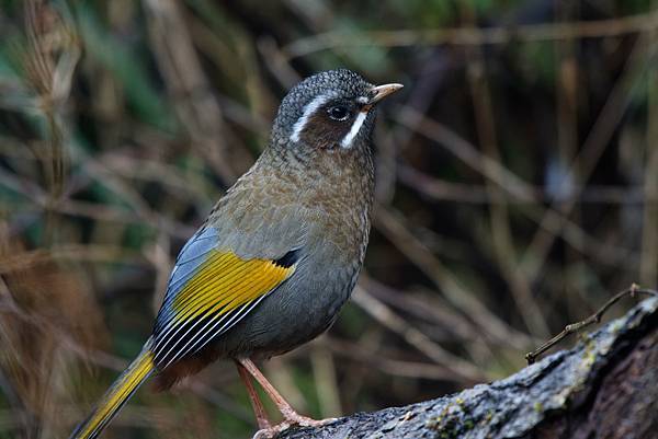 273415662_10209517274286145_7235613519193196803_n