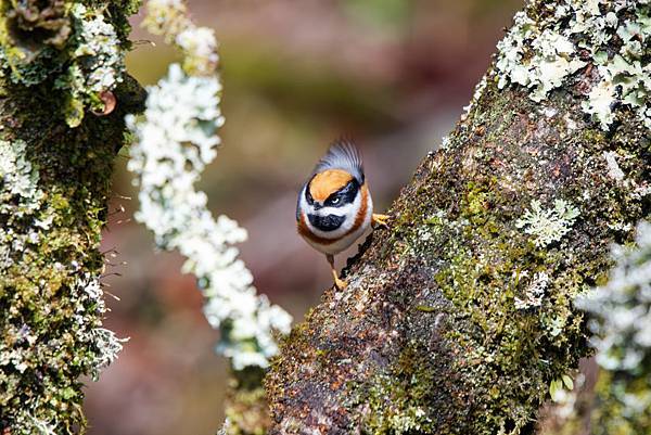 273416891_10209517280366297_8996907147611445497_n