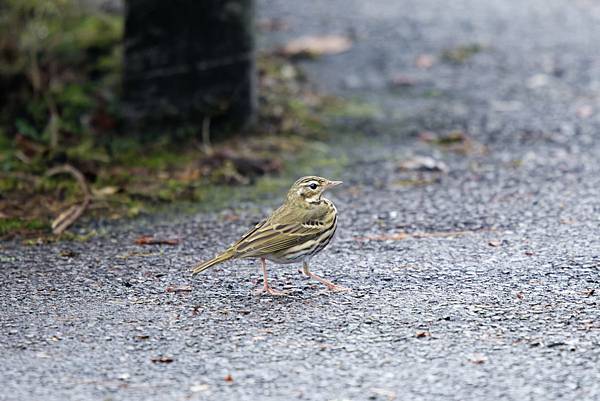 273417118_10209517276006188_8430899833903043251_n