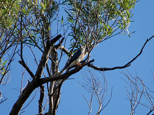 0919 金瑞治水園區