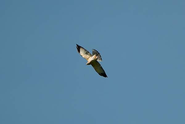 0919 金瑞治水園區