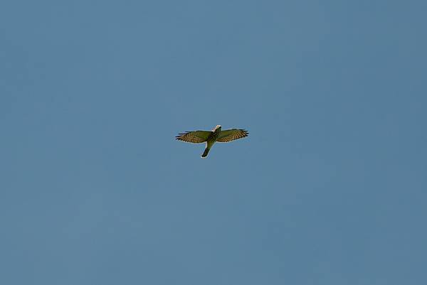 0919 金瑞治水園區