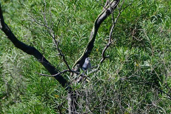 0919 金瑞治水園區