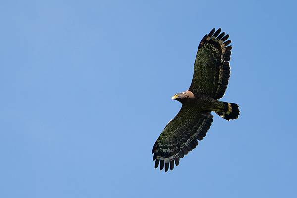 0919 金瑞治水園區