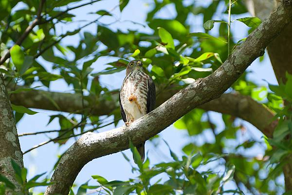 0919 金瑞治水園區