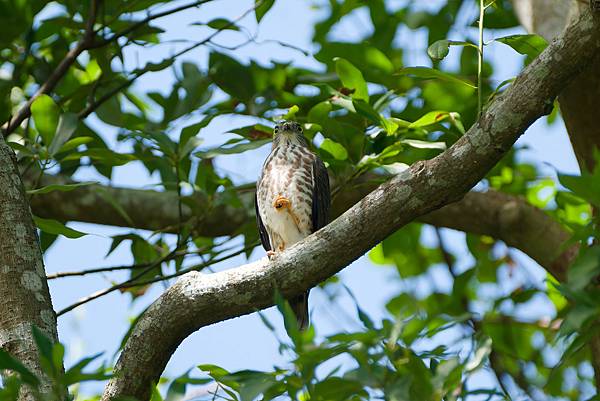 0919 金瑞治水園區