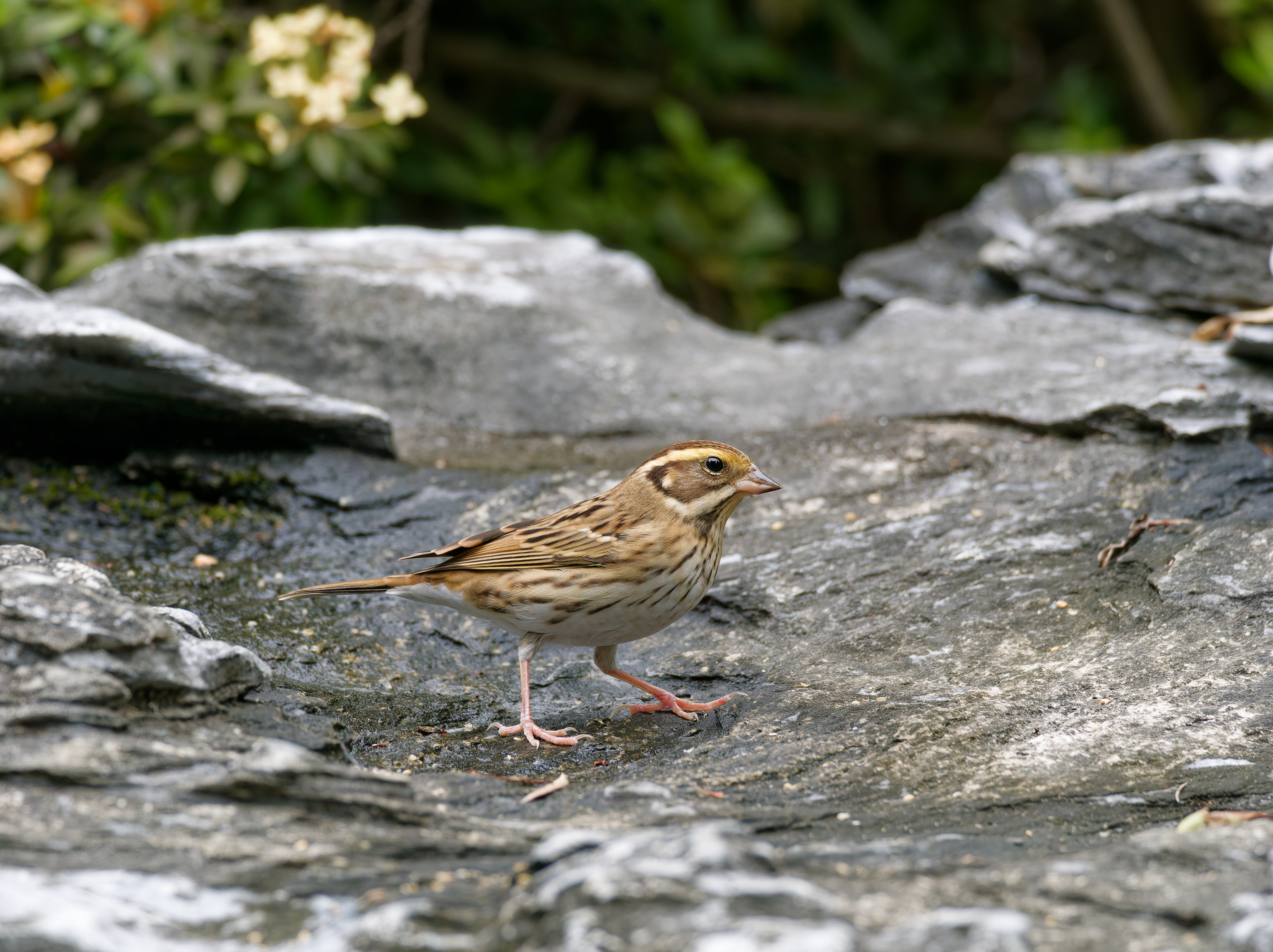 1130 台中科學館