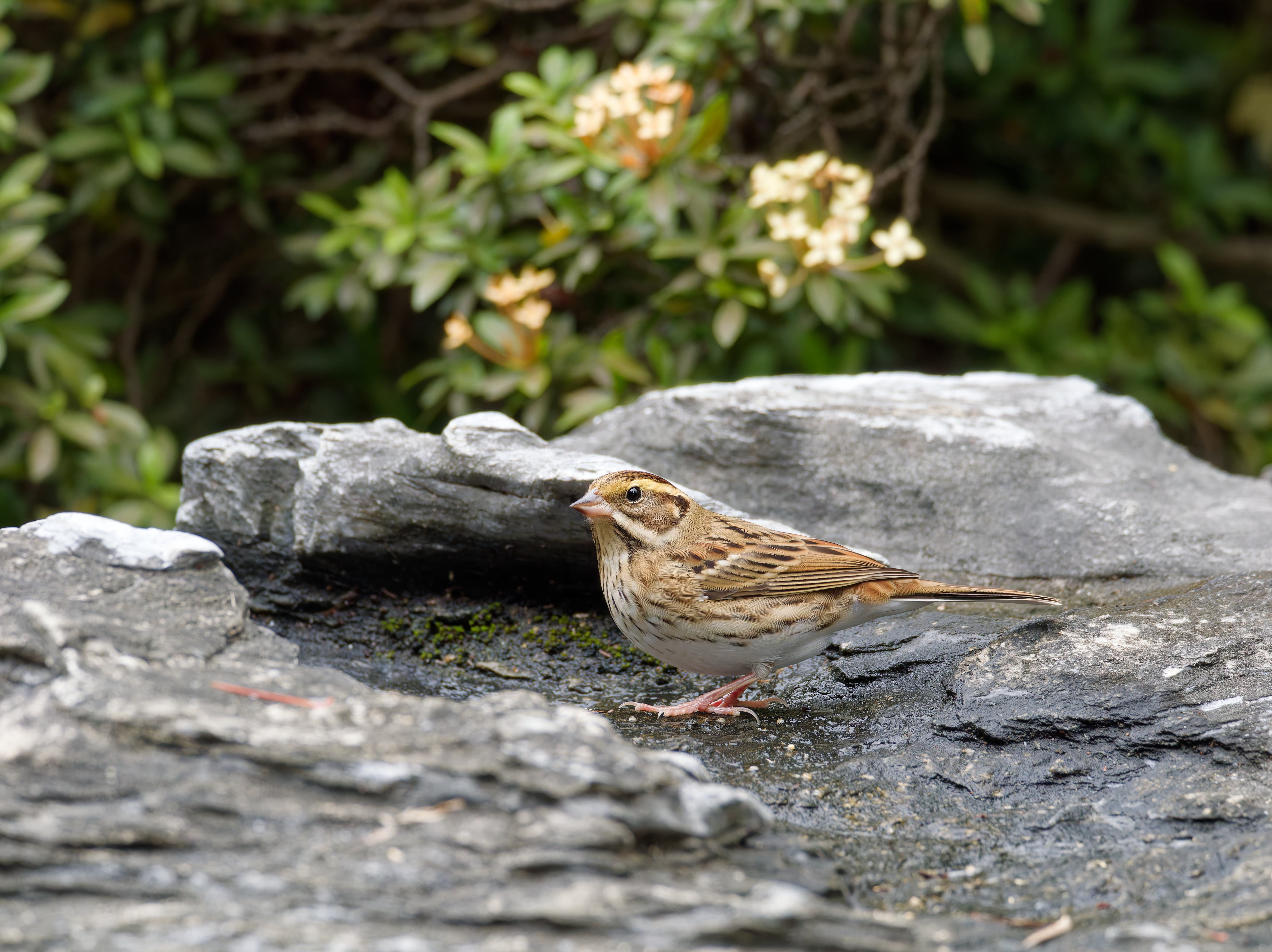 1130 台中科學館