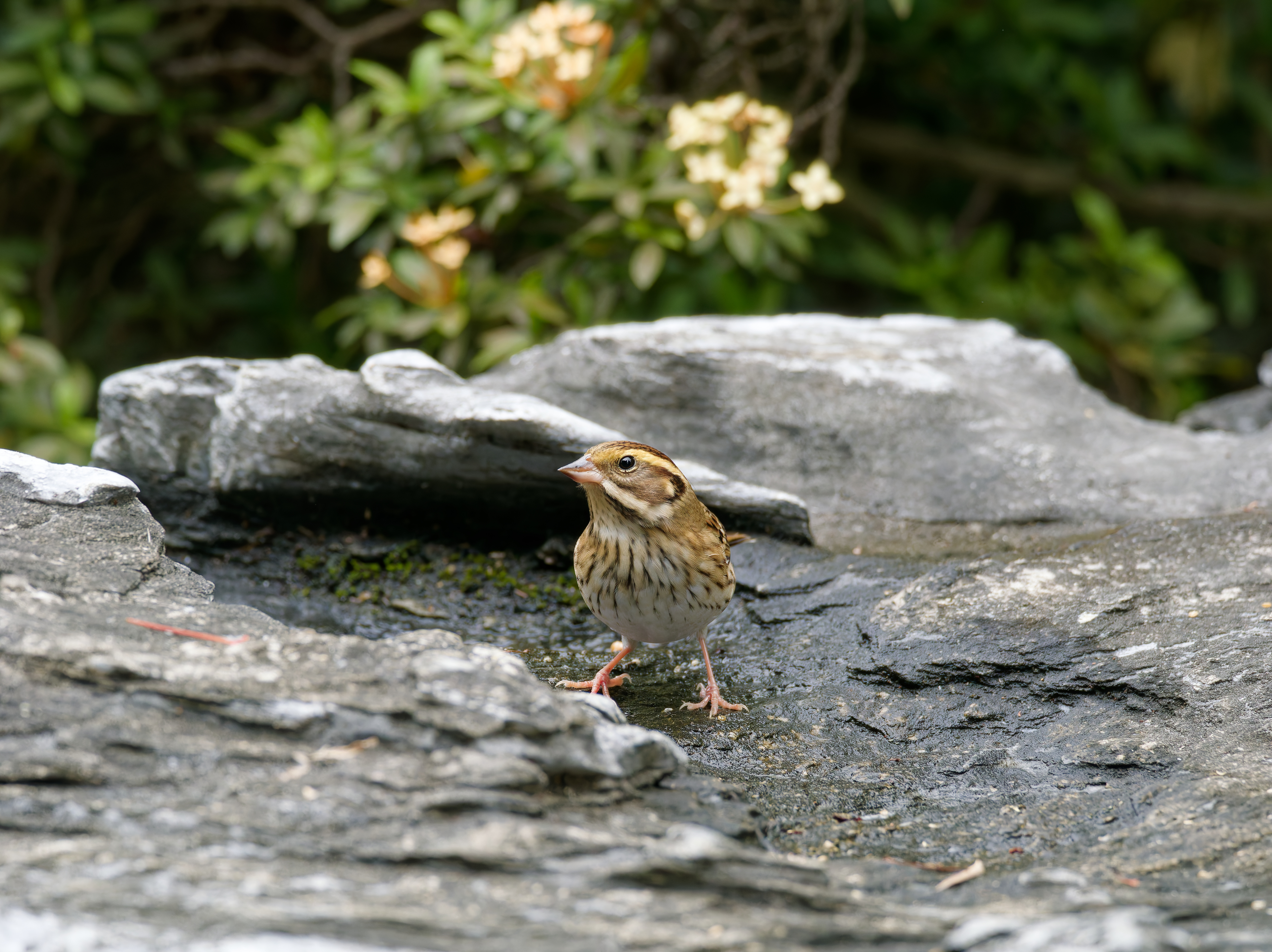 1130 台中科學館