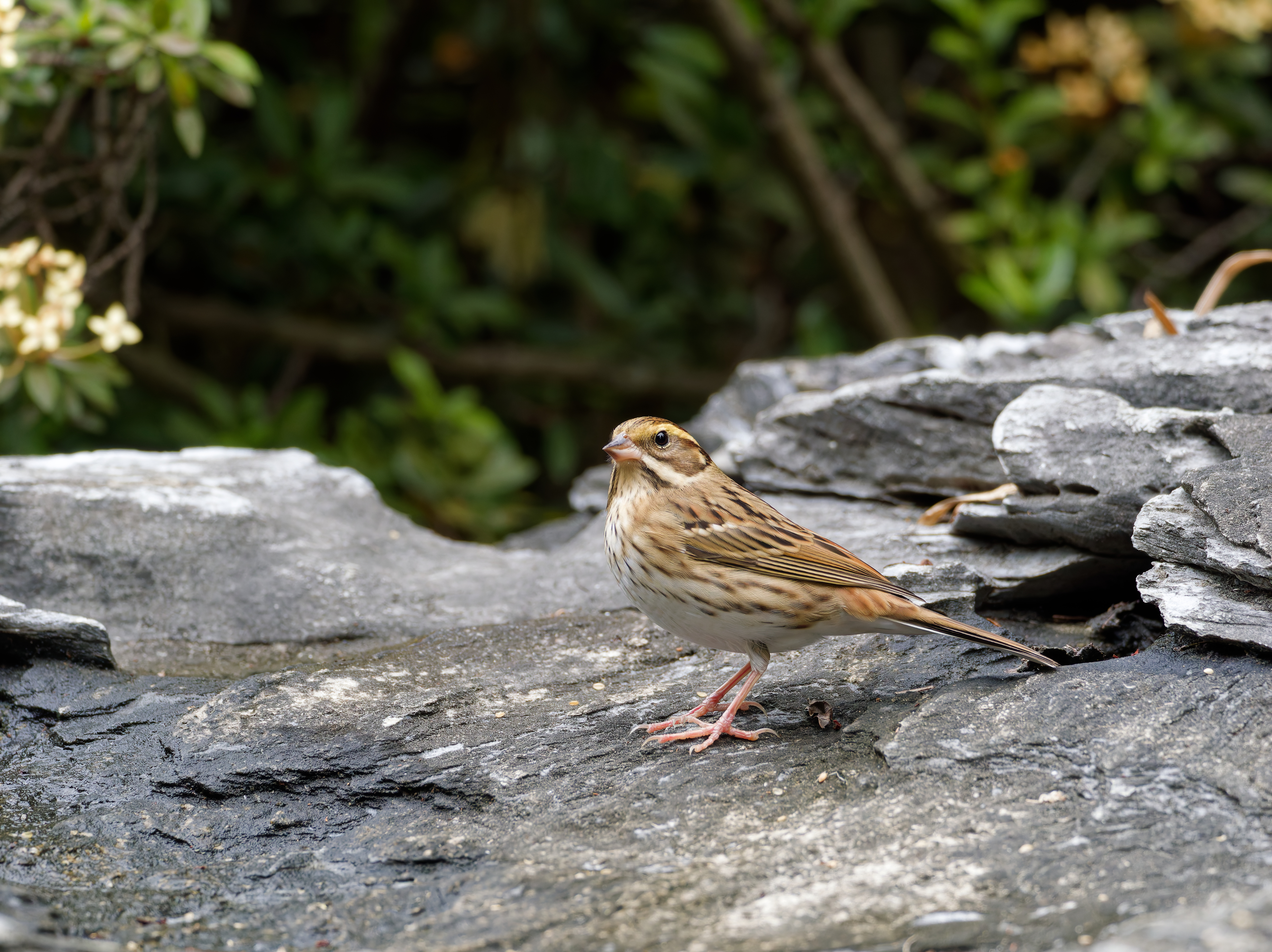 1130 台中科學館