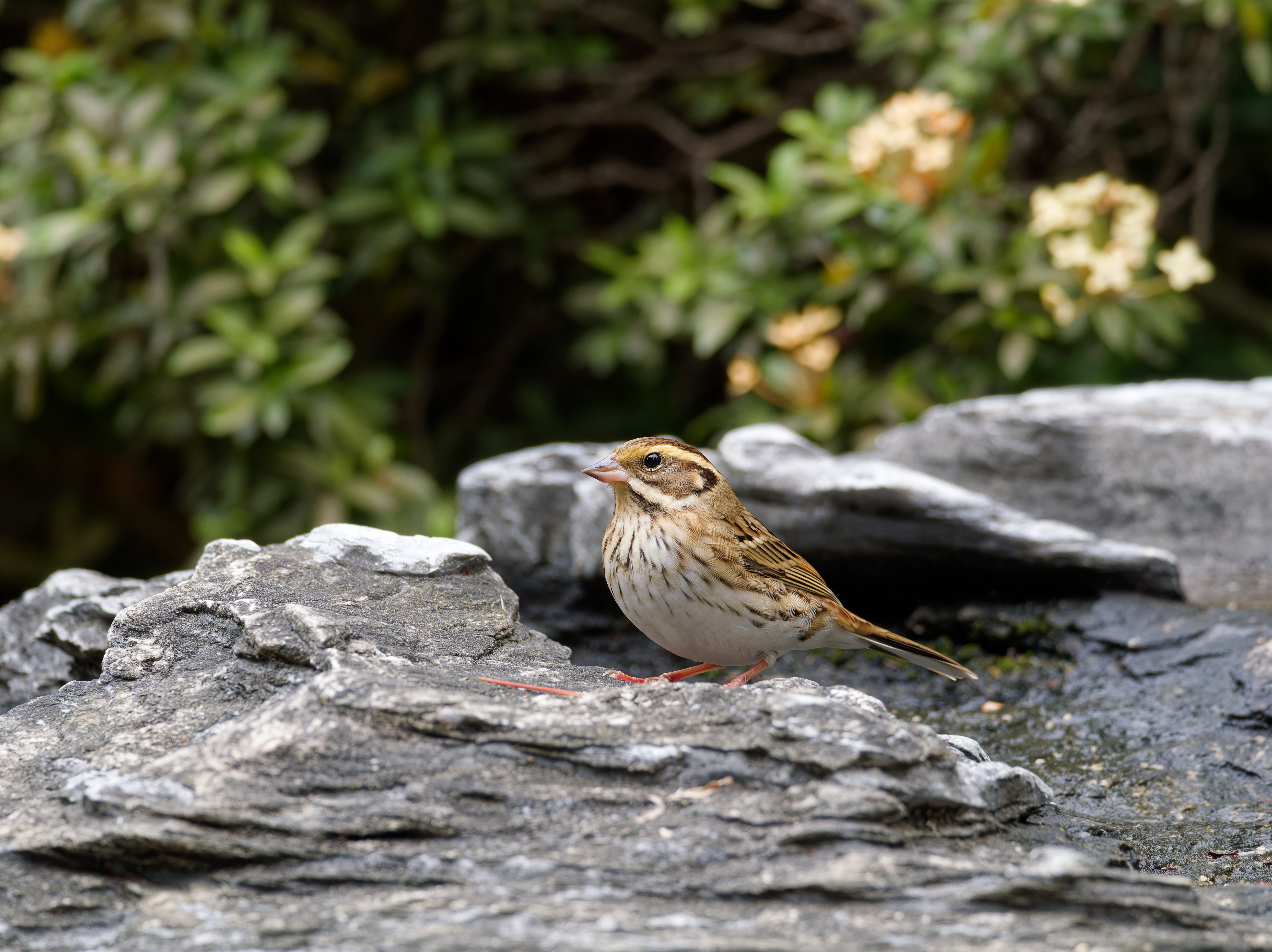 1130 台中科學館
