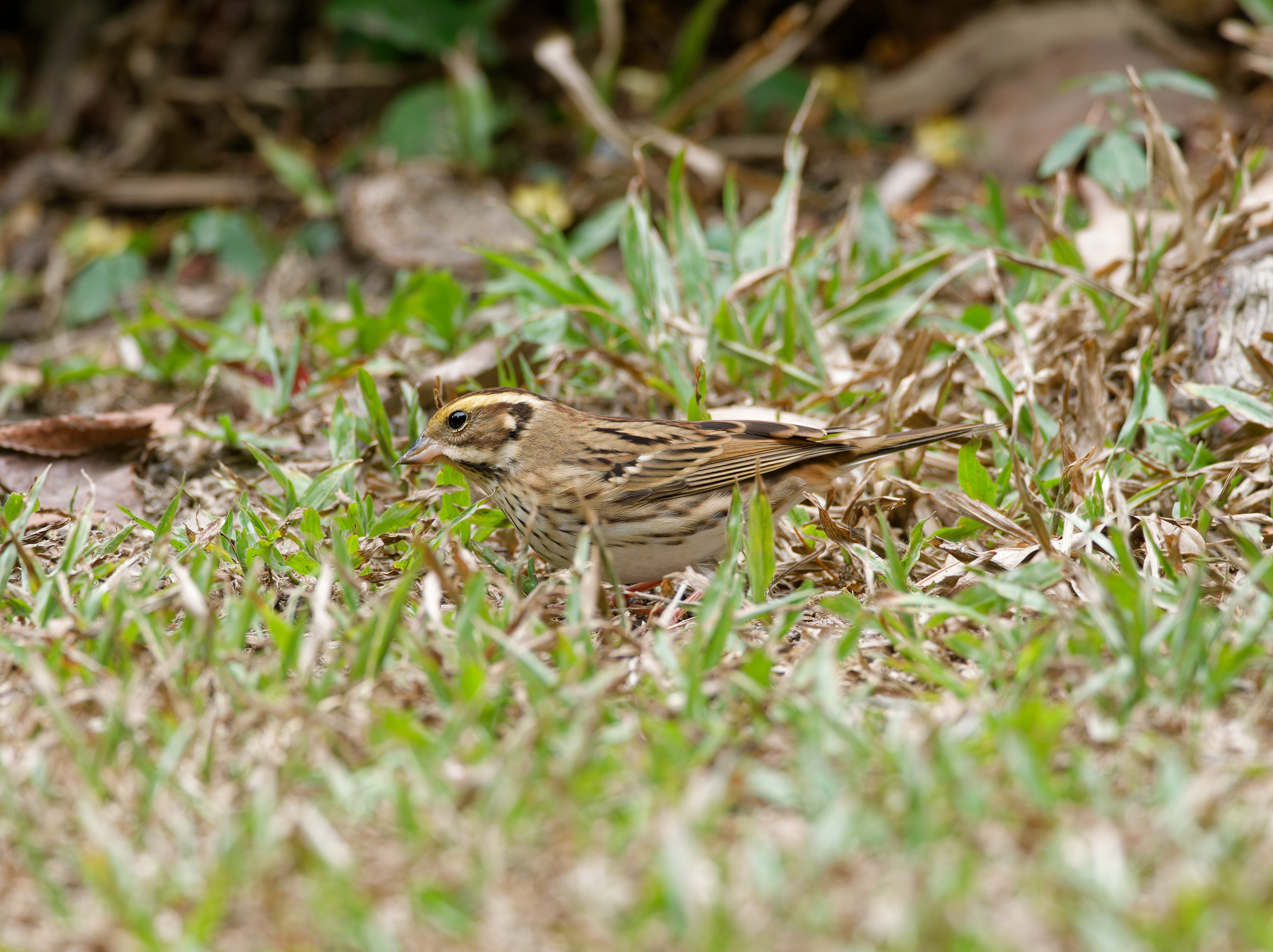 1130 台中科學館