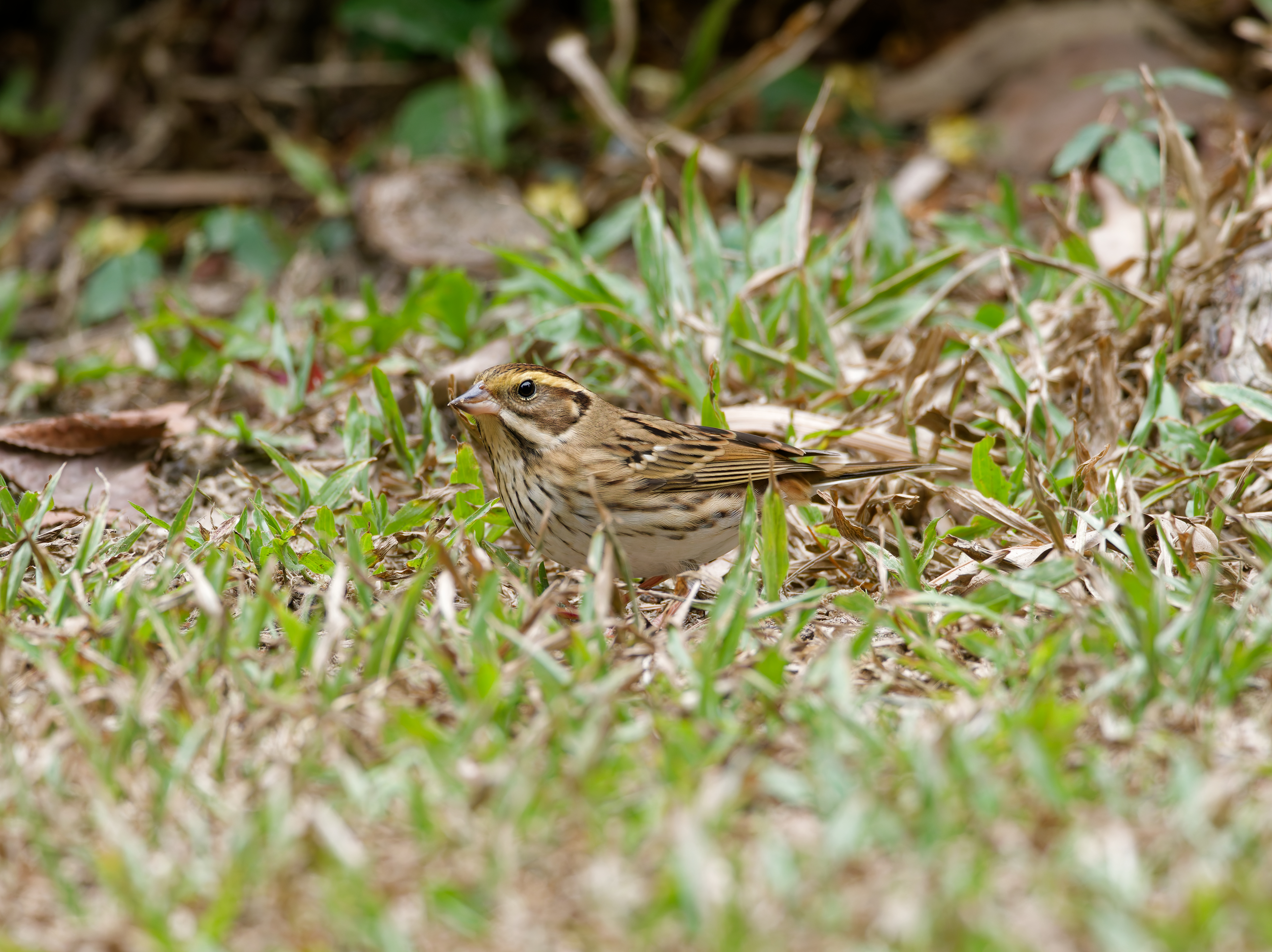 1130 台中科學館