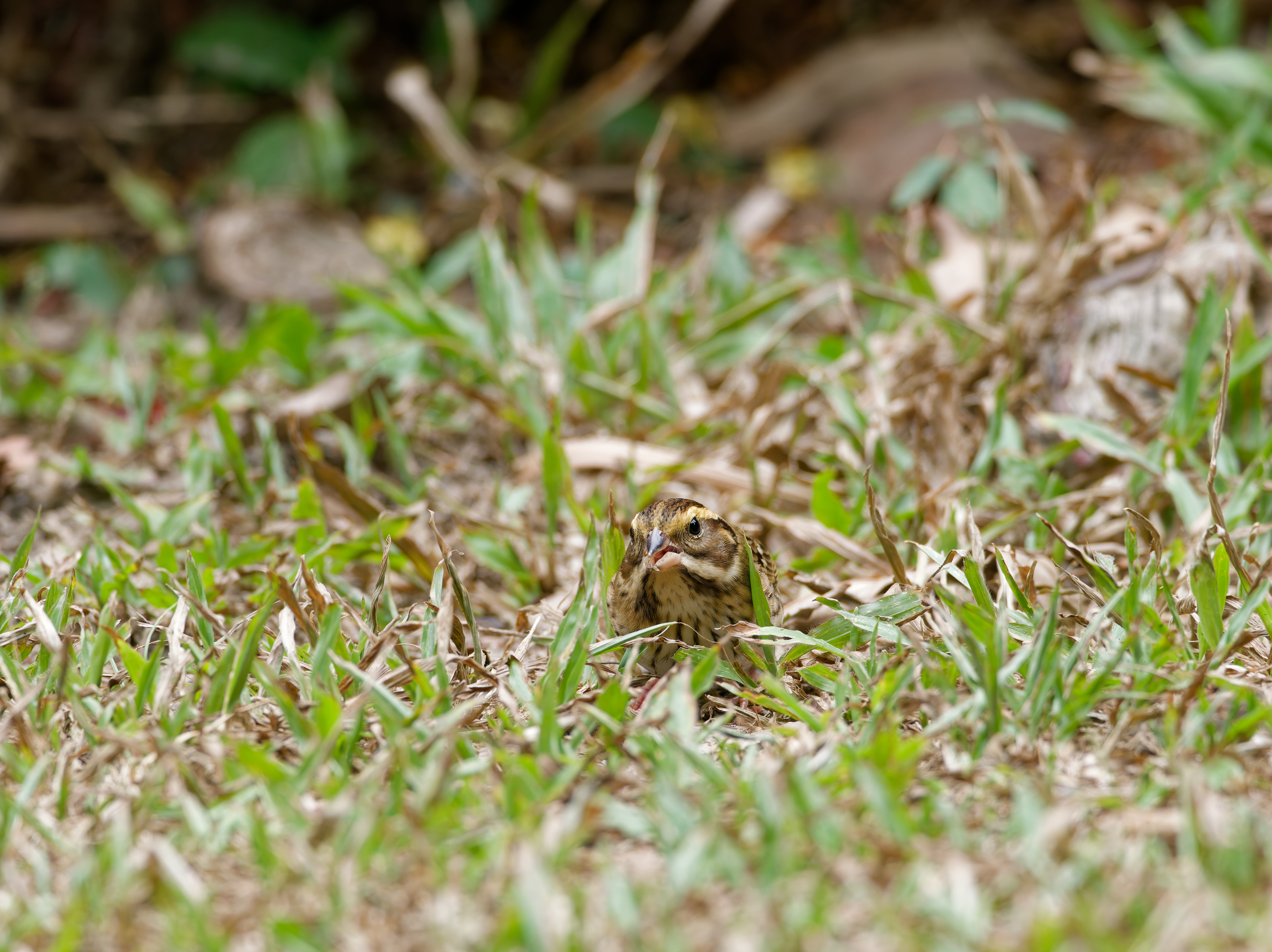 1130 台中科學館