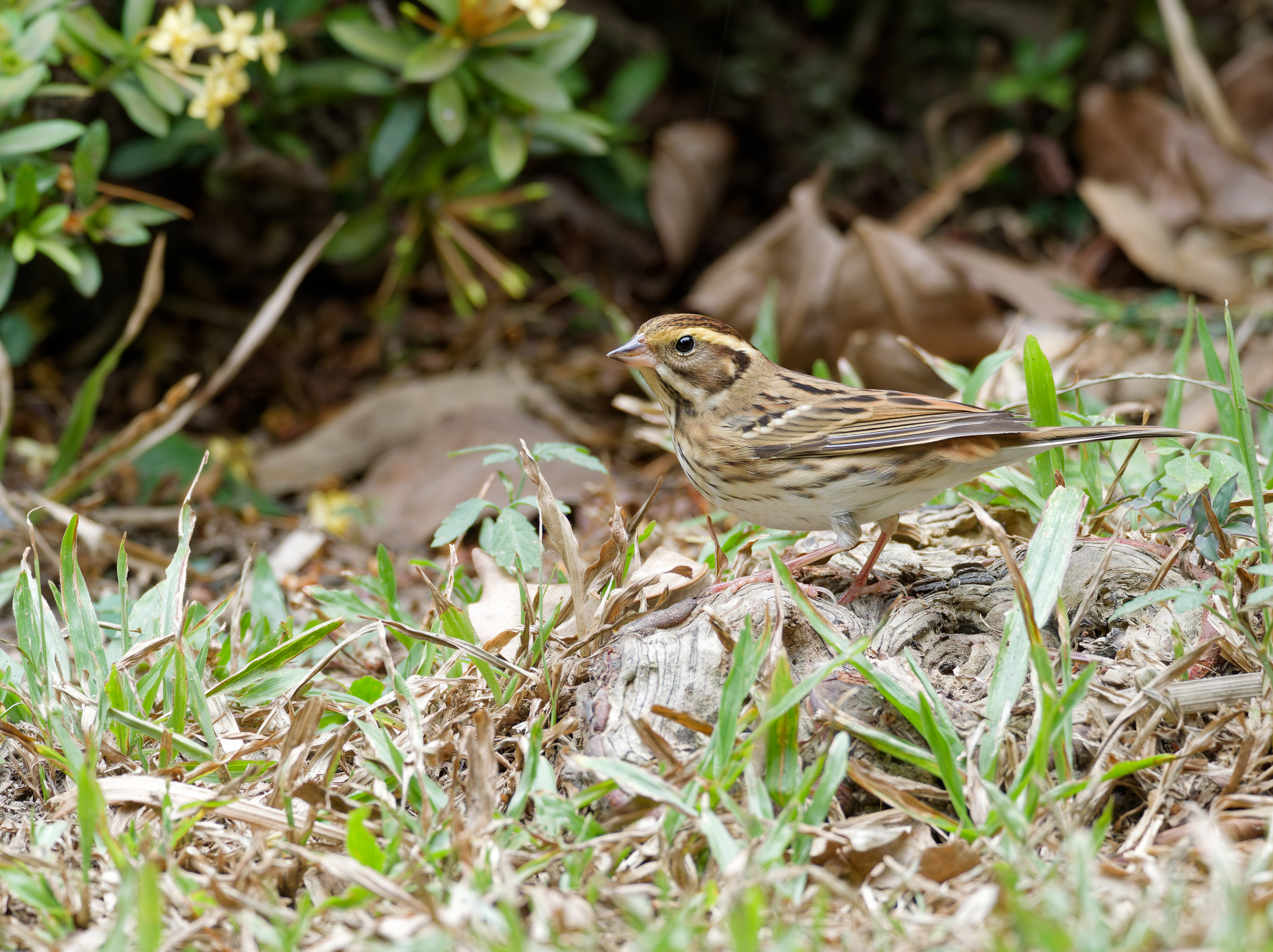 1130 台中科學館