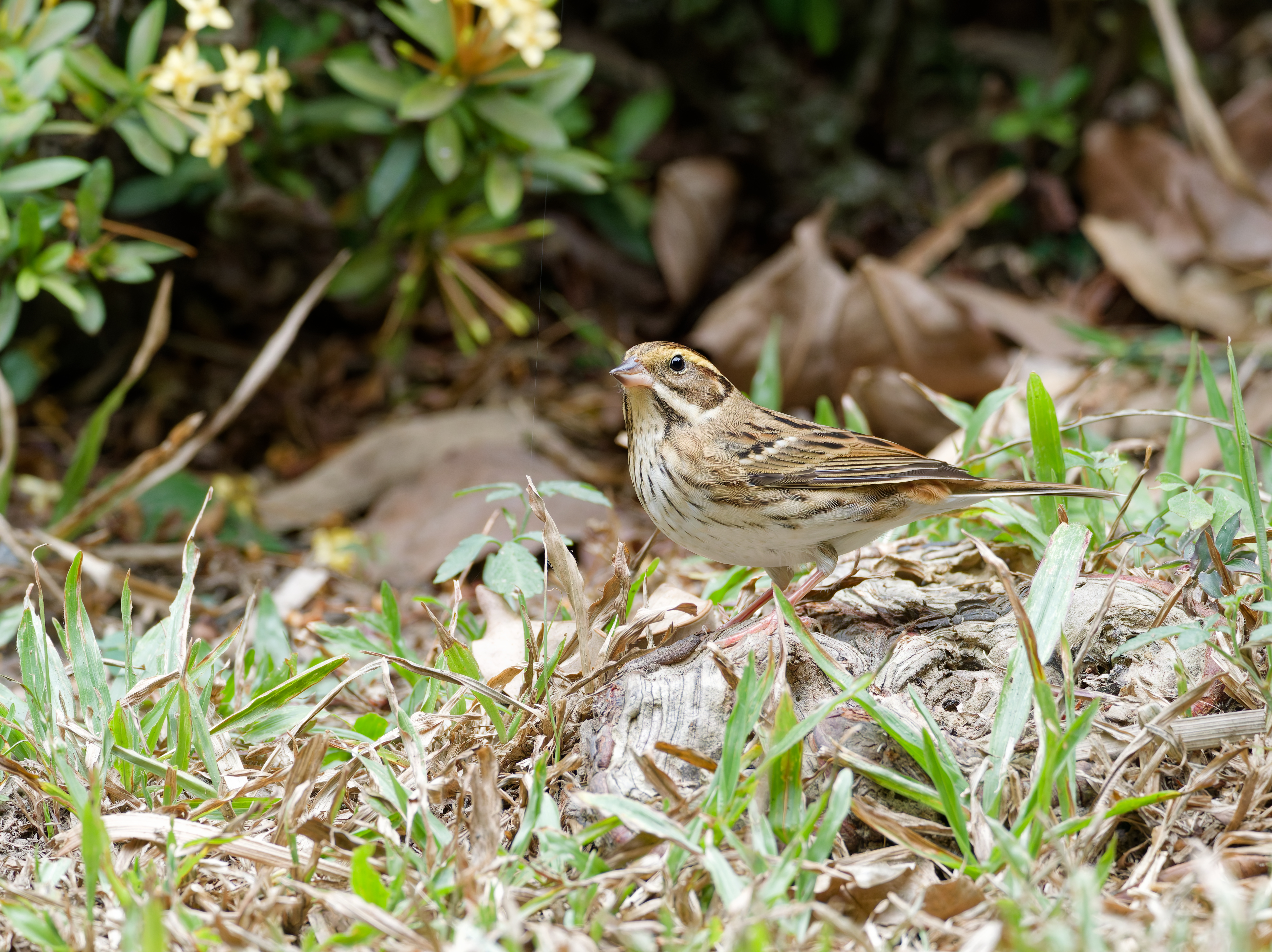 1130 台中科學館