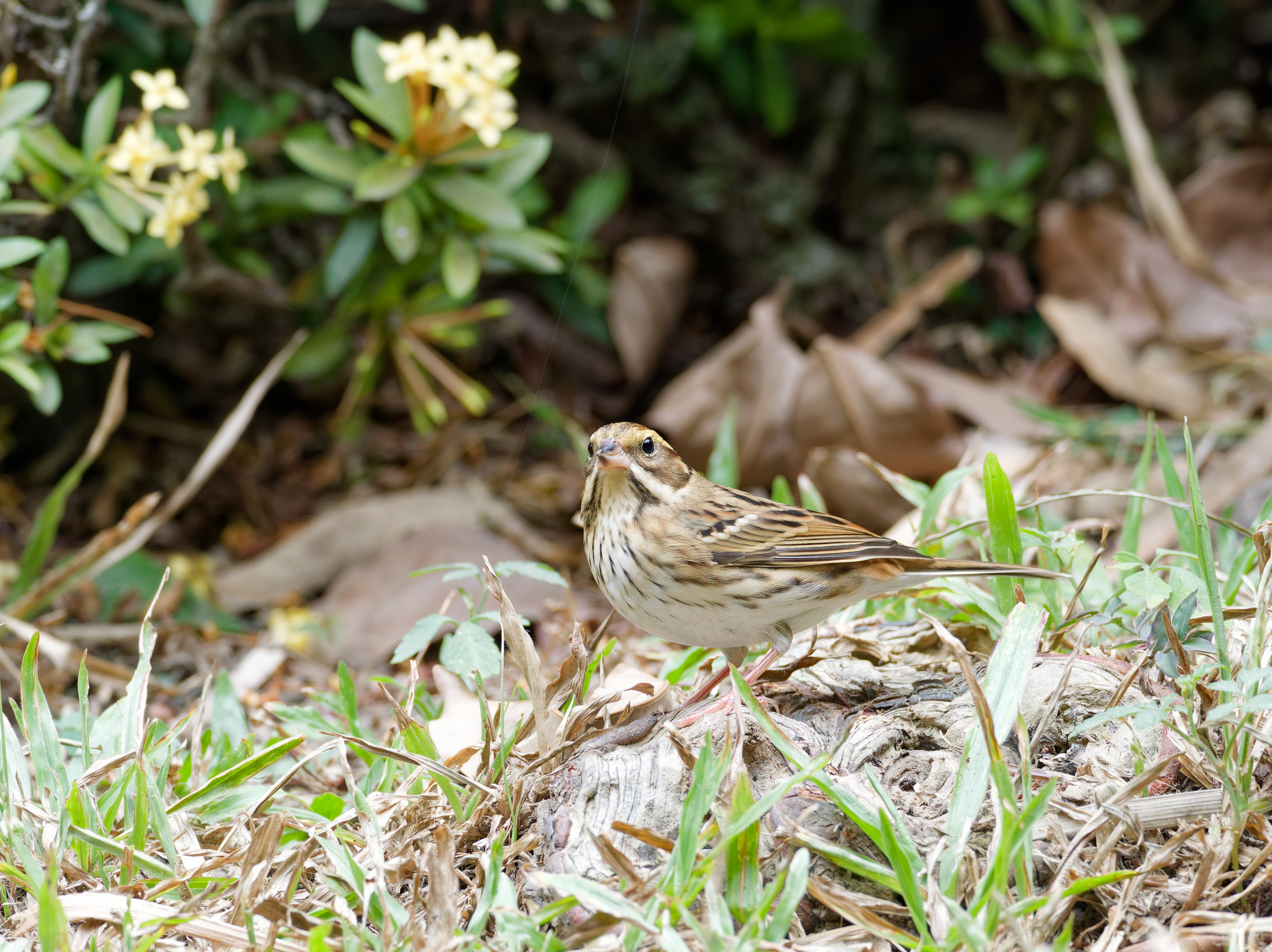 1130 台中科學館