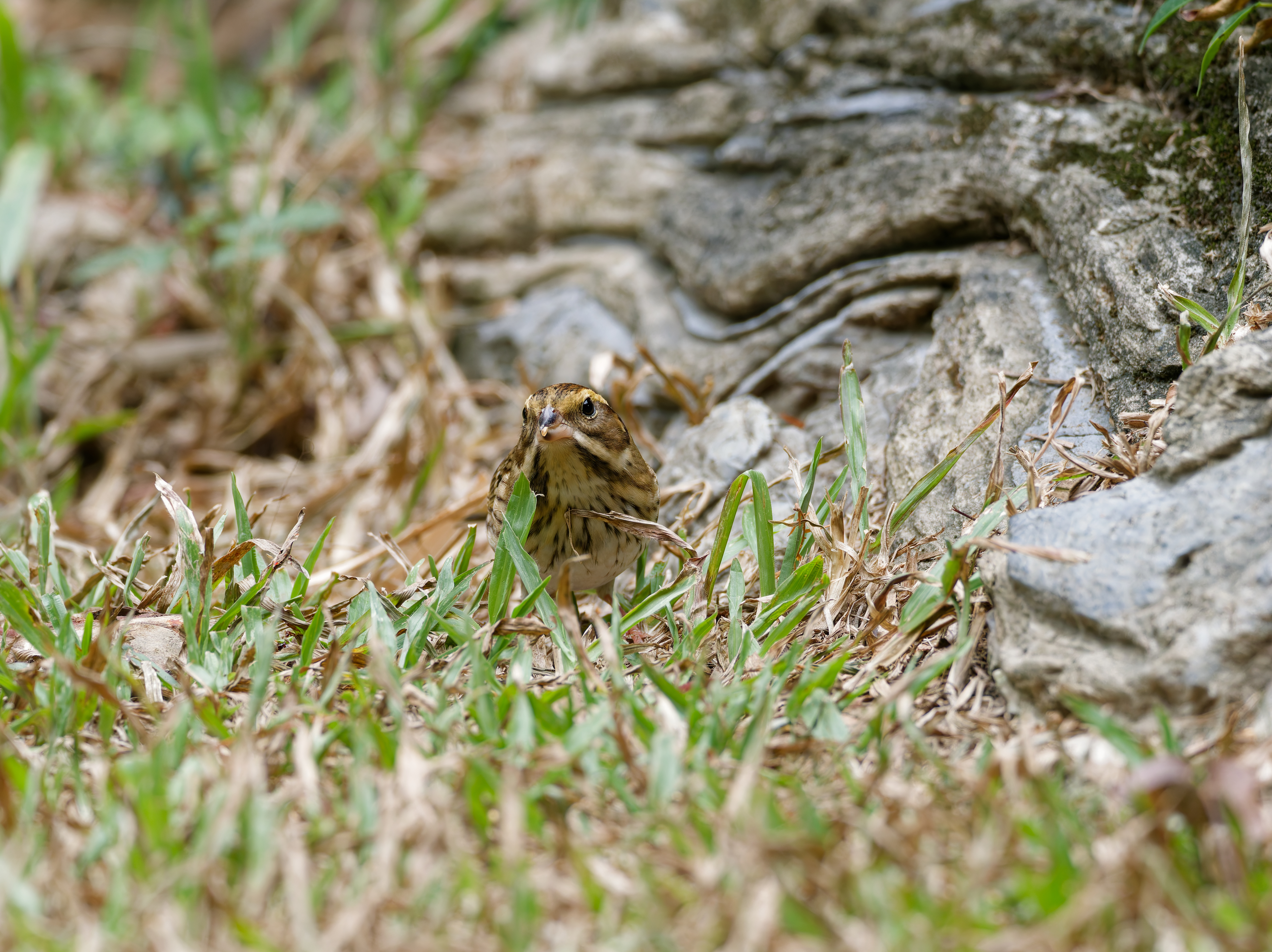 1130 台中科學館