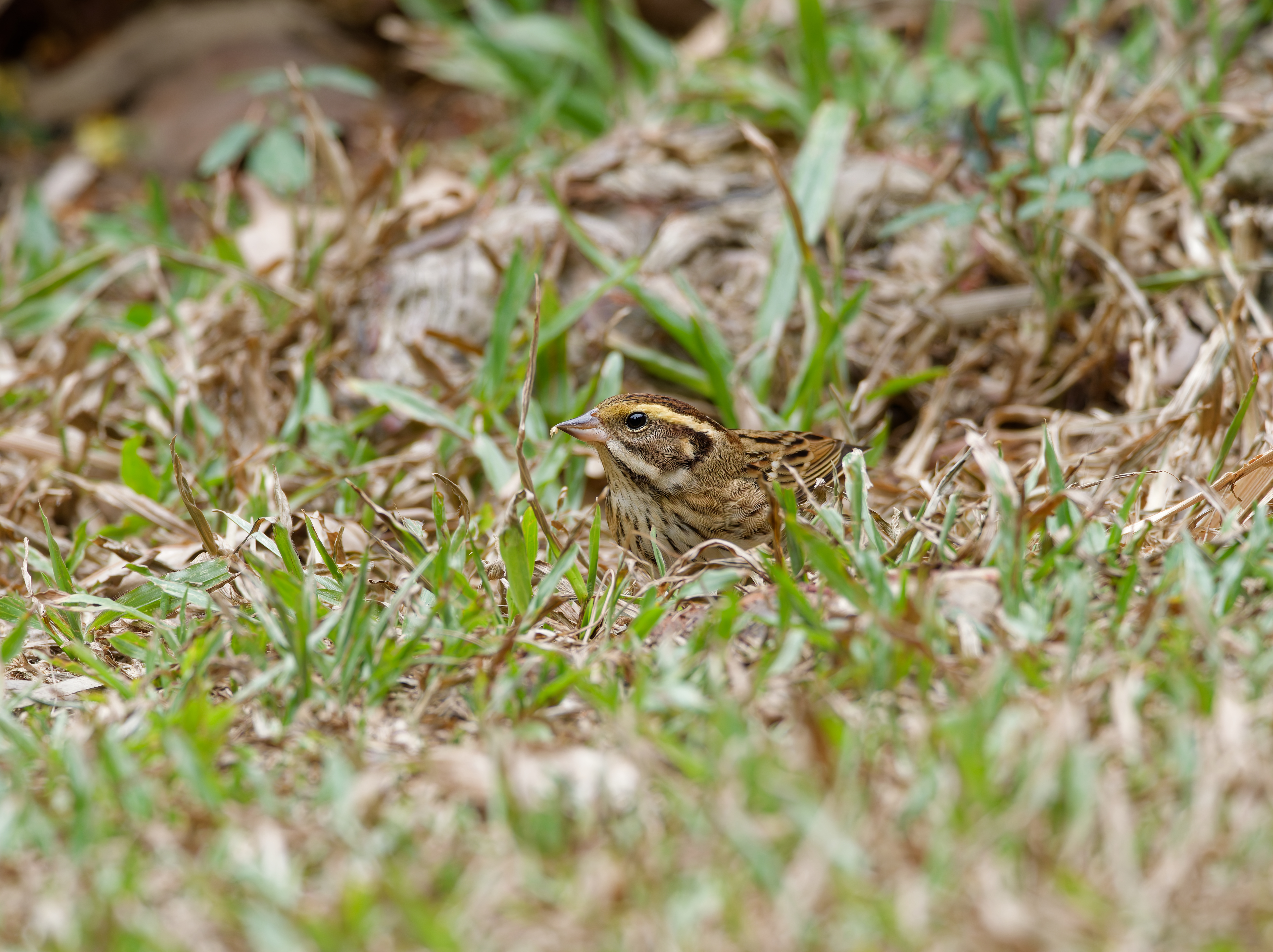 1130 台中科學館