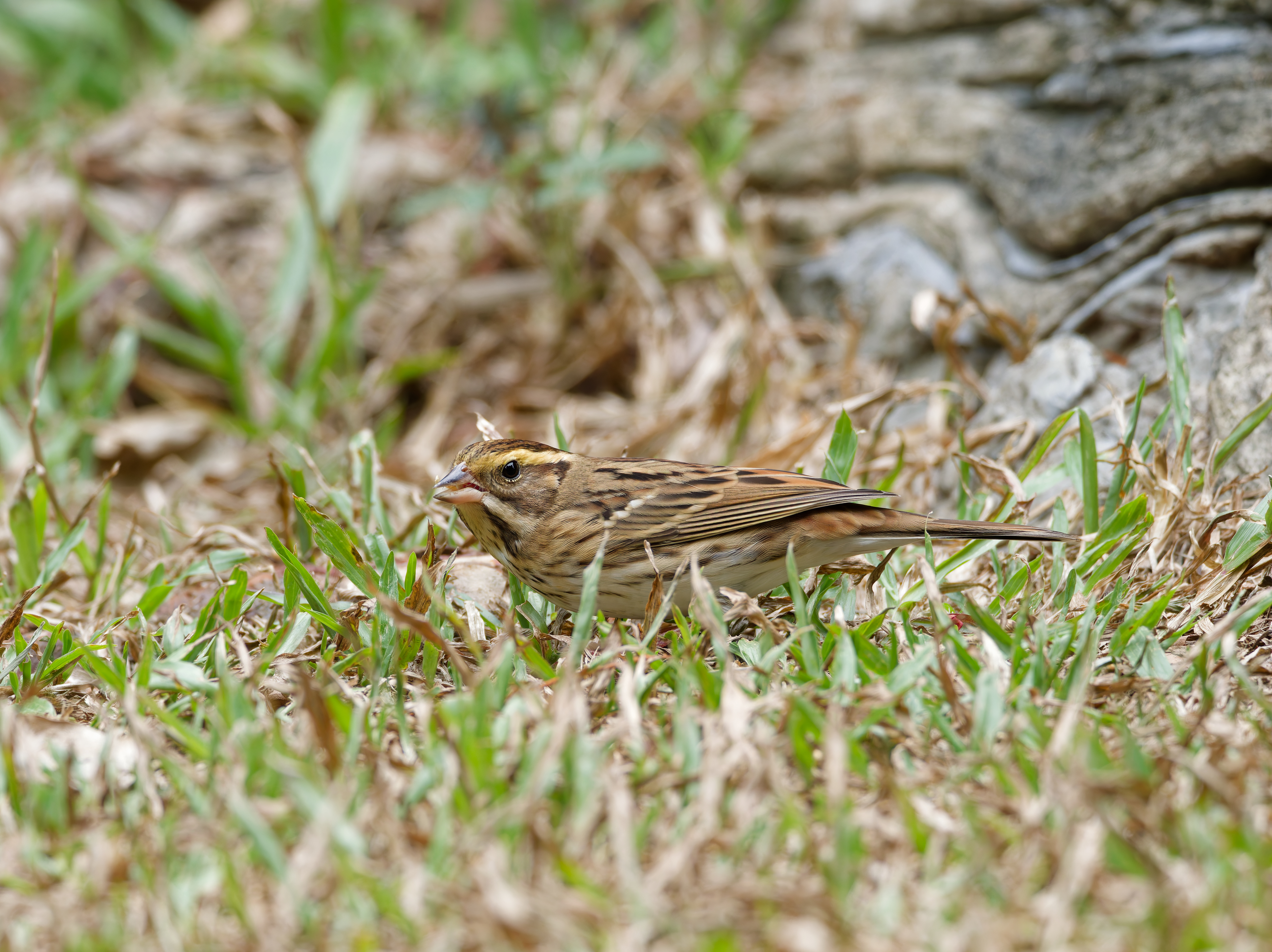 1130 台中科學館