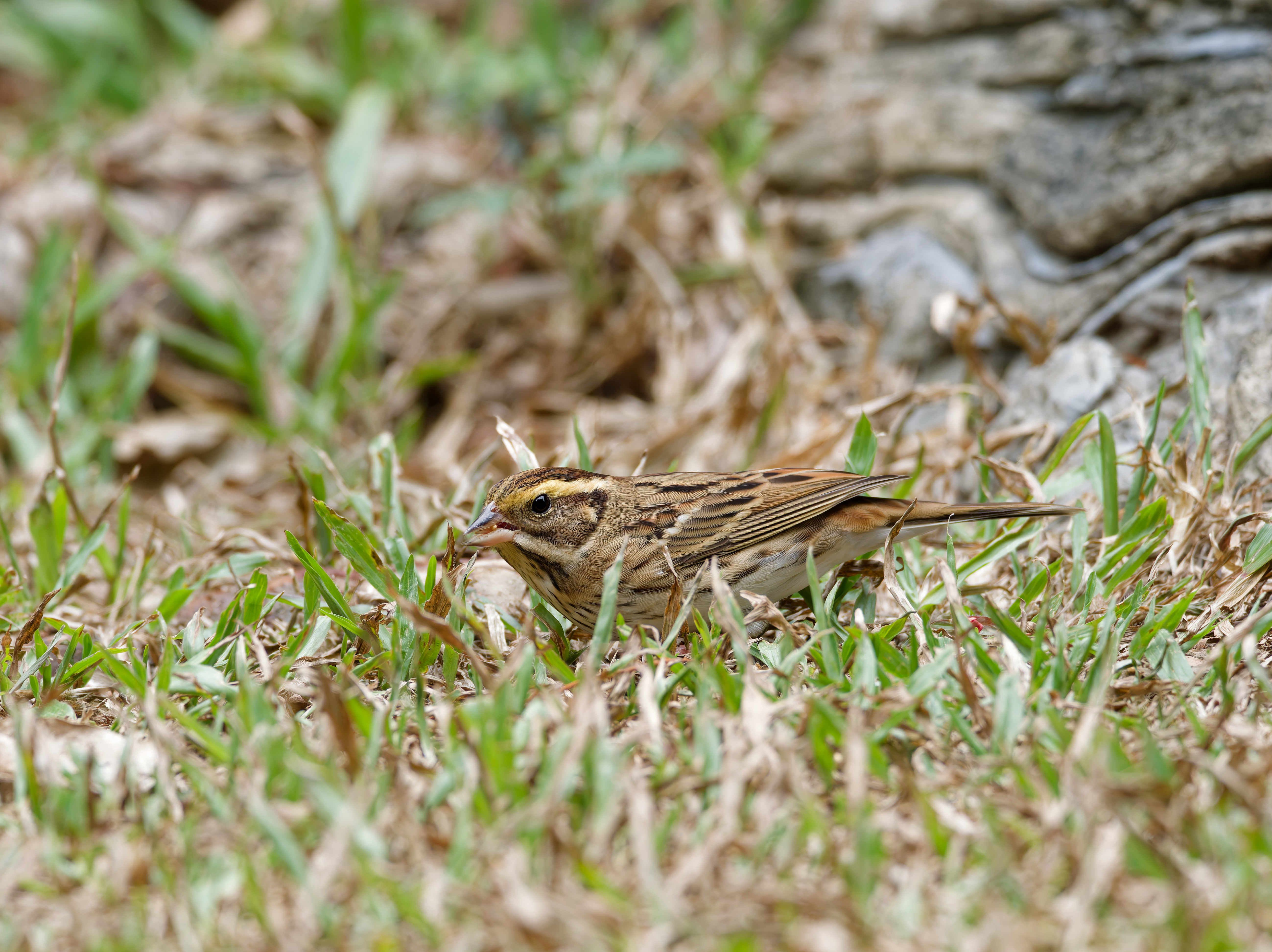1130 台中科學館
