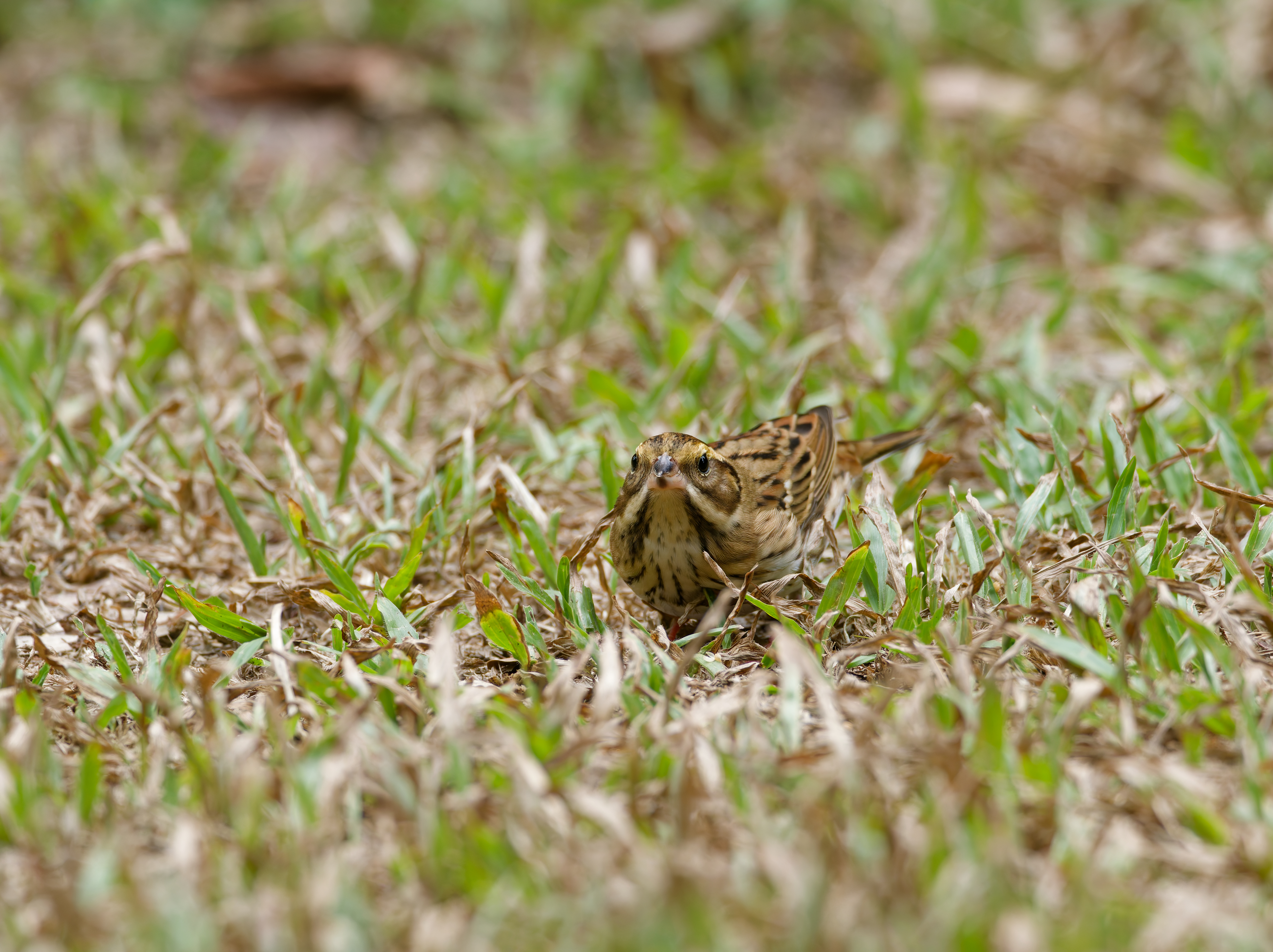 1130 台中科學館