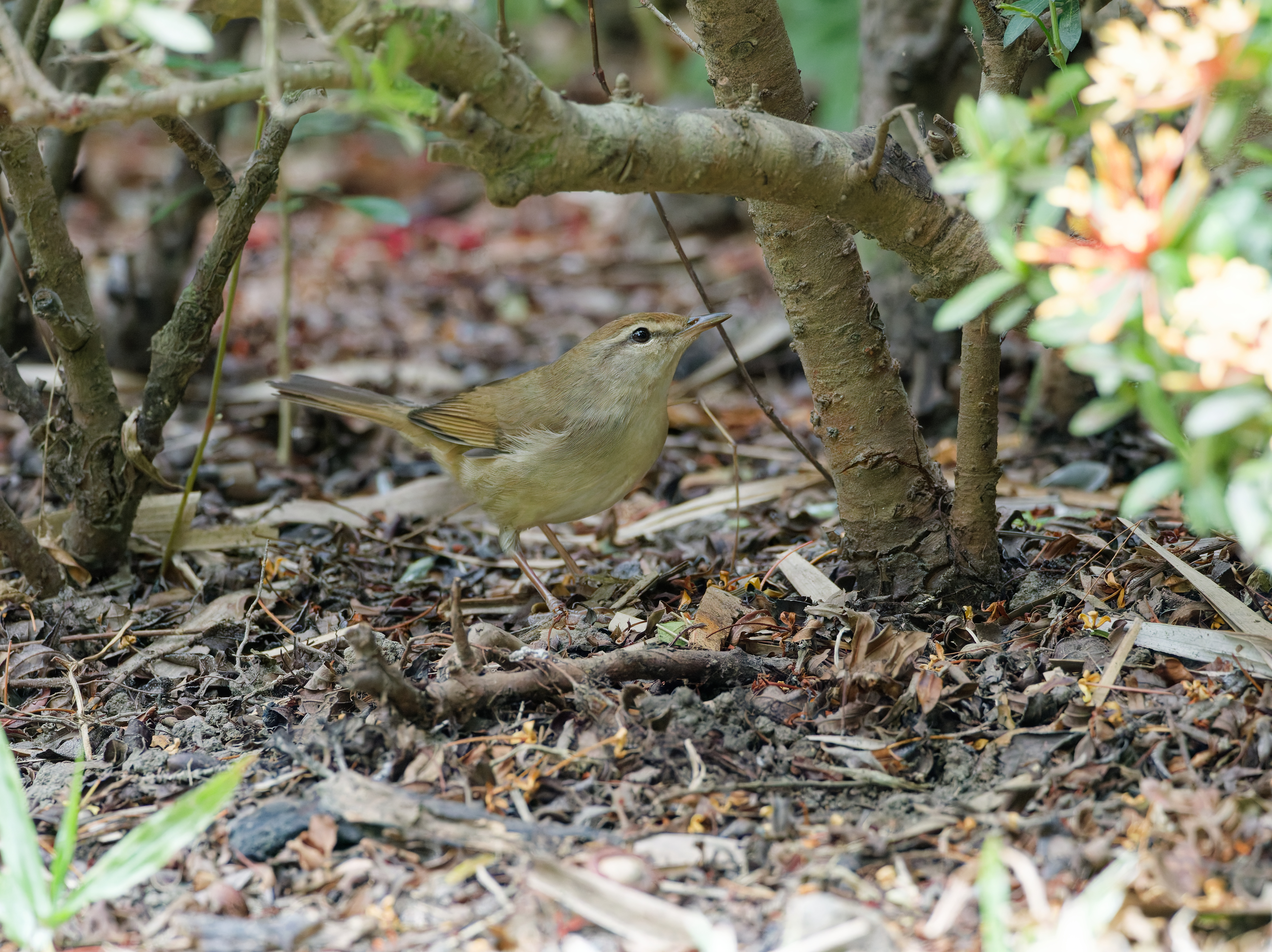 1130 台中科學館