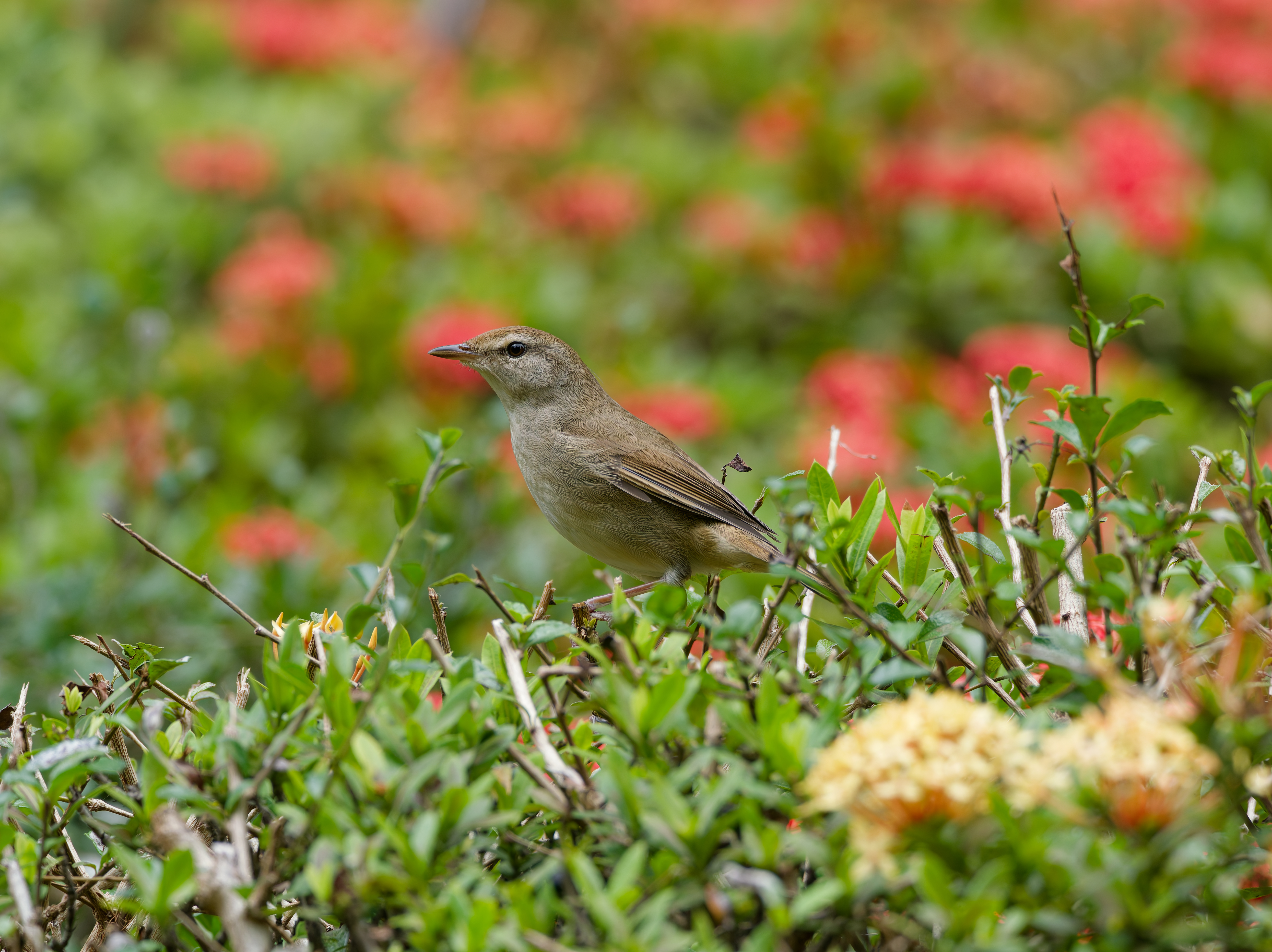1130 台中科學館