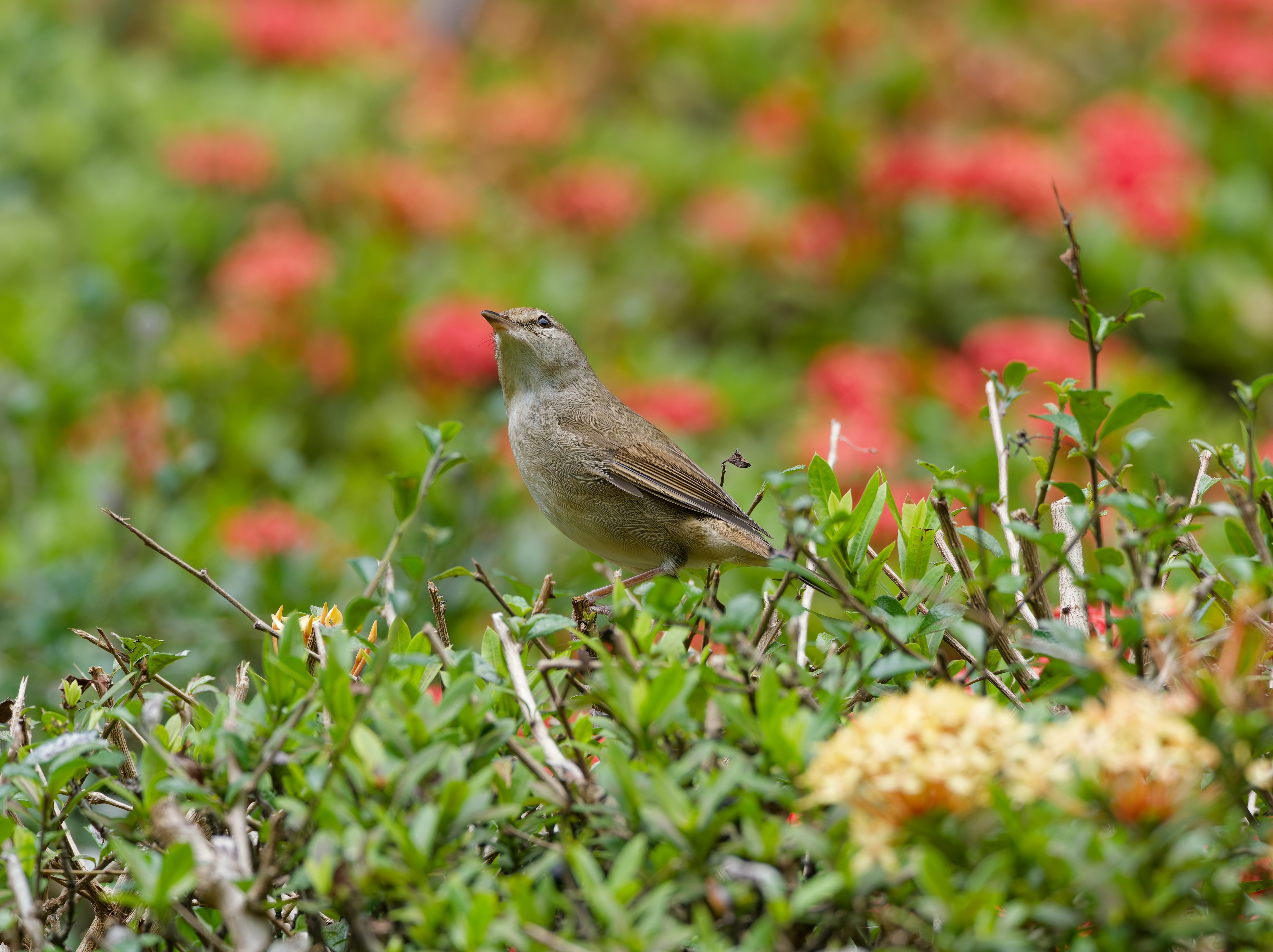 1130 台中科學館