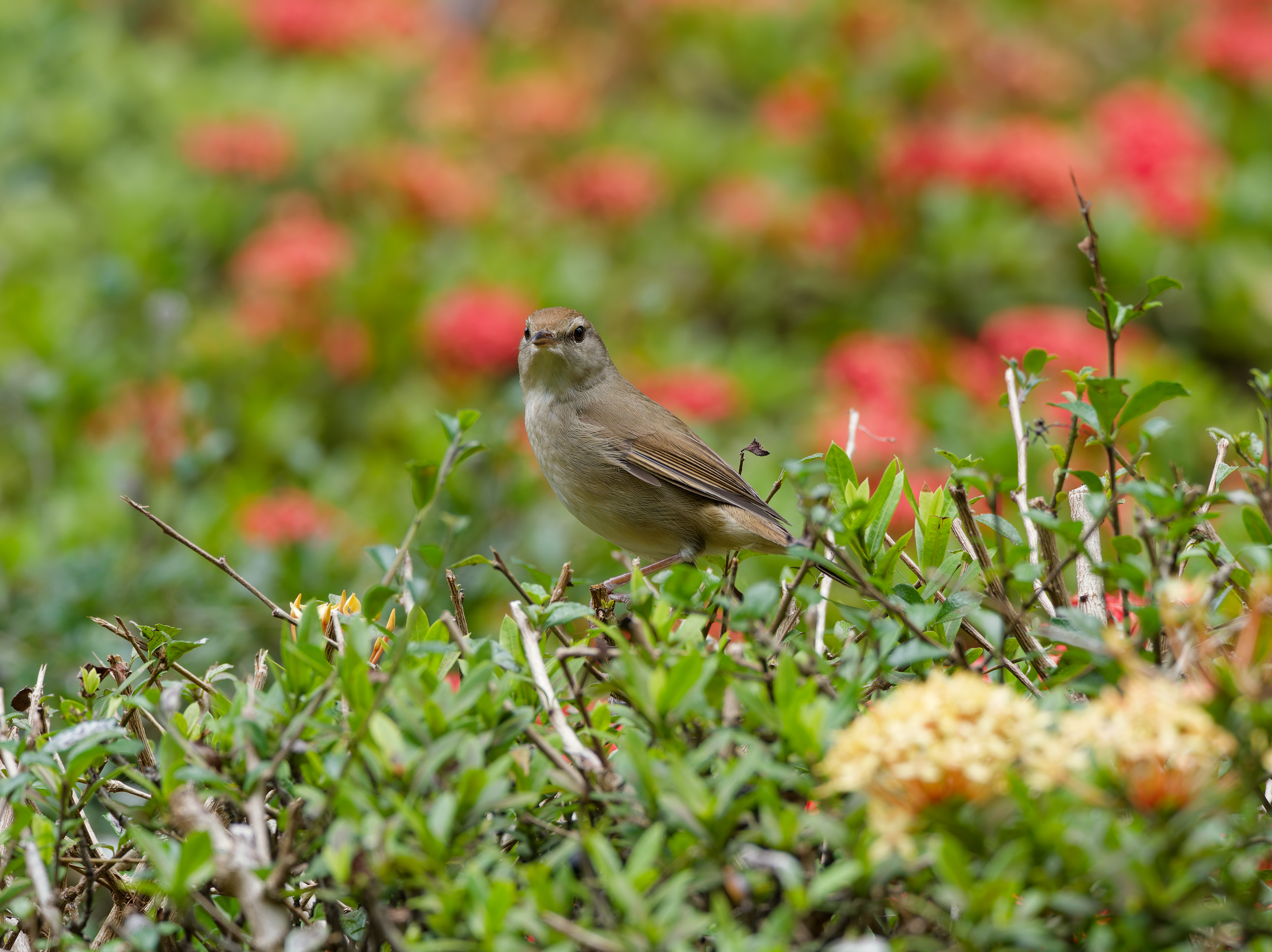 1130 台中科學館