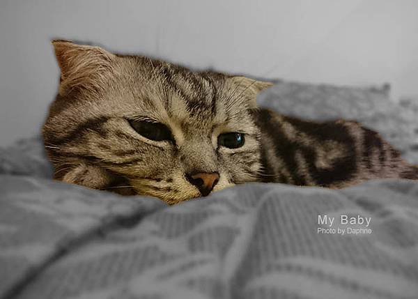 作業-101622879.jpg 作業-101622879.jpg