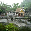 大象大象，怎麼還是很多人都說是林旺