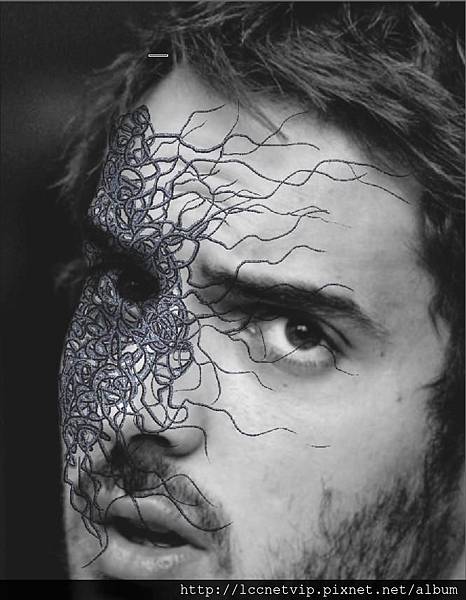 20131126spic0006 20131126spic0006