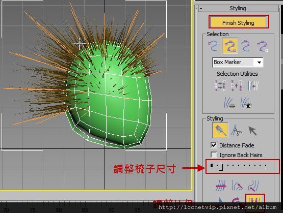 飄逸髮 (11)