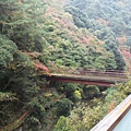 位在高知県松山的溫泉飯店房間內就可觀賞的美景。