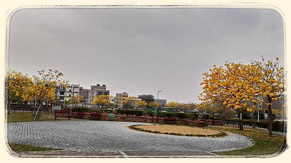 P_20150307_073410_HDR.jpg