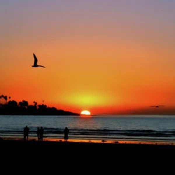 sunset-on-la-jolla-beach-sally-bauer.jpg