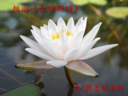 相迵《台語新詩》