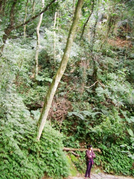 她後面有一大片山坡,她當比例尺,too