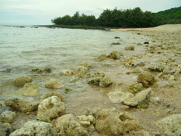 充滿珊瑚礁岩的海灘，不穿鞋子會死於腳底大量穿孔.JPG