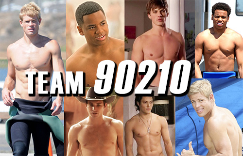 team90210button