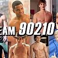 team90210button