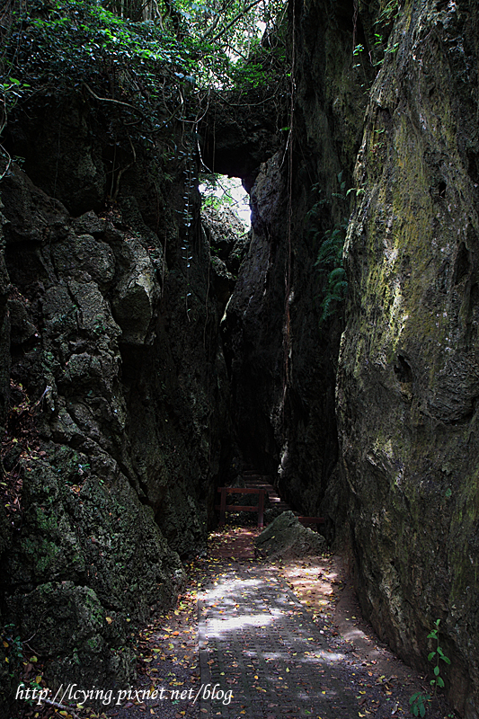 墾丁-社頂公園 小峽谷