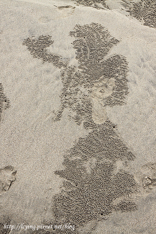 通霄海水浴場