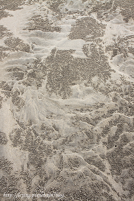 通霄海水浴場