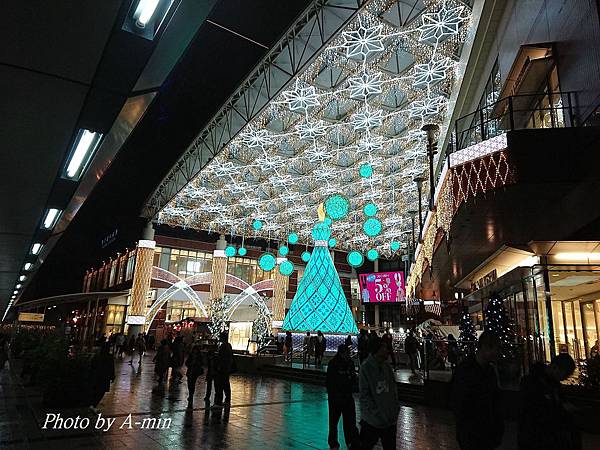 d07046.JPG d07046.JPG