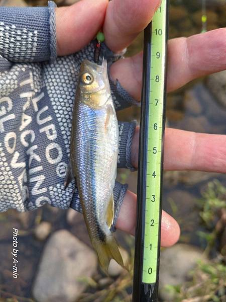 DSC_2649.JPG DSC_2649.JPG