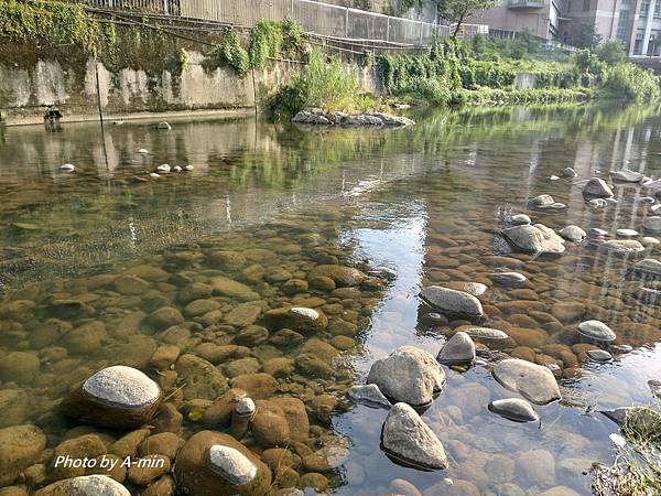 DSC_2651.JPG DSC_2651.JPG